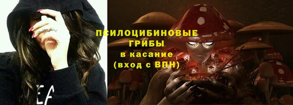 apvp Кулебаки