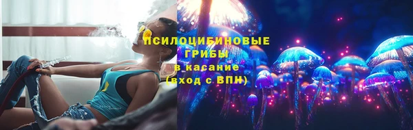 PSILOCYBIN Билибино